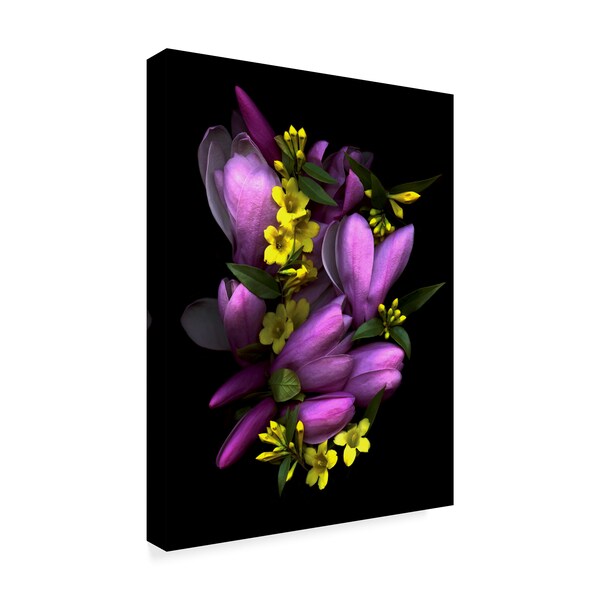 Susan S. Barmon 'Tulip Magnolia And Jasmine' Canvas Art,18x24